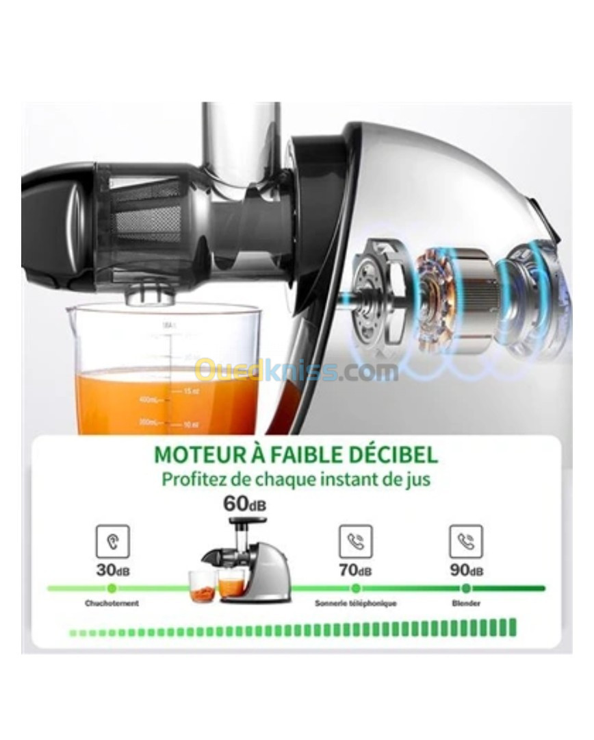 Amzchef Extracteur de Jus, multifonction 3 en 1 Slow Juicer Presse à Froid Machine, 80 tr/min e