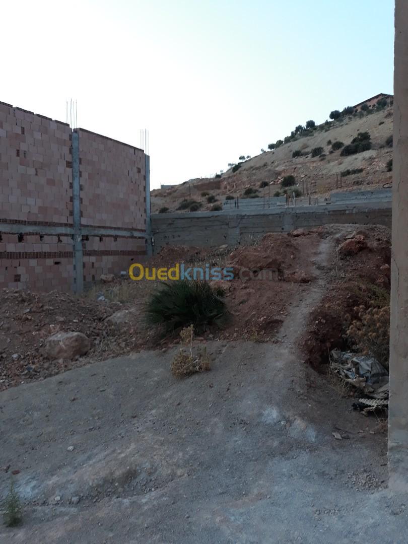 Vente Terrain Tlemcen Tlemcen