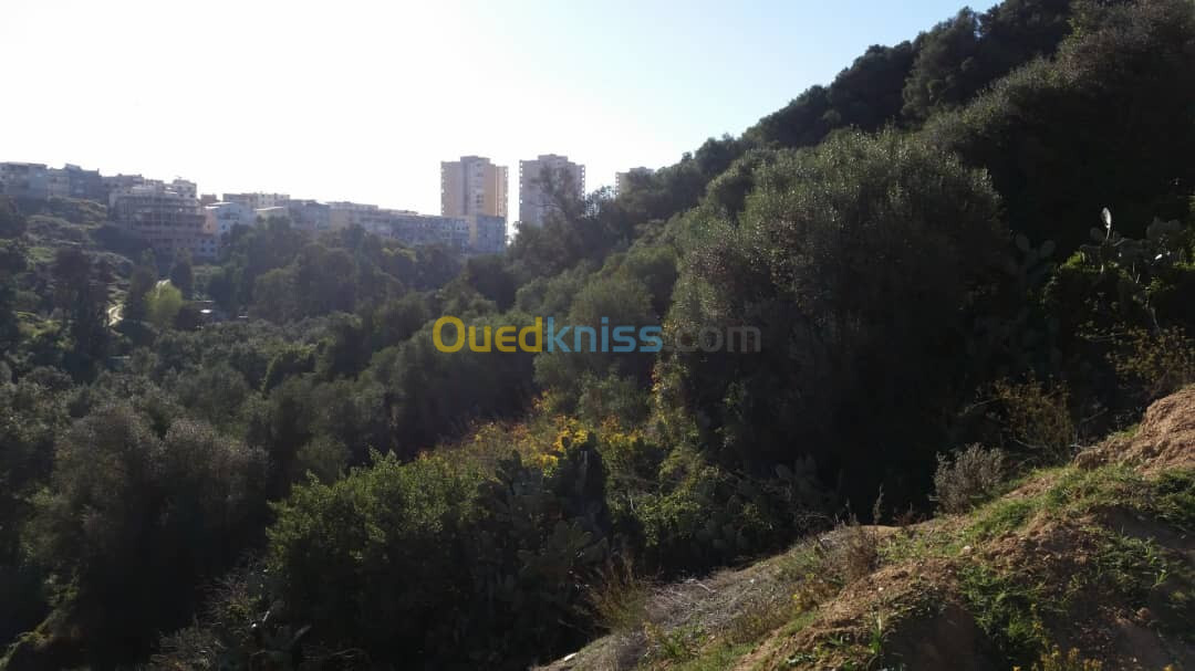 Vente Terrain Alger Bouzareah