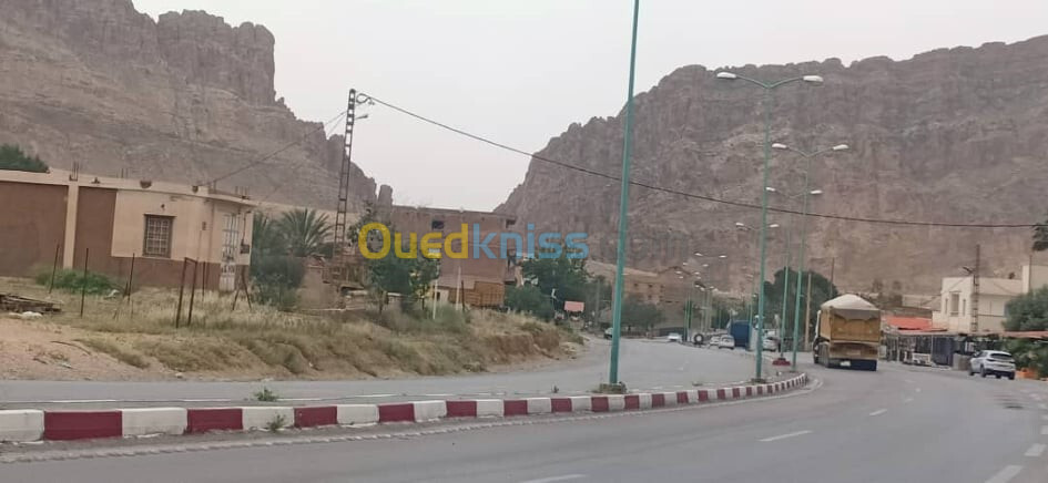 Vente Terrain Biskra El kantara