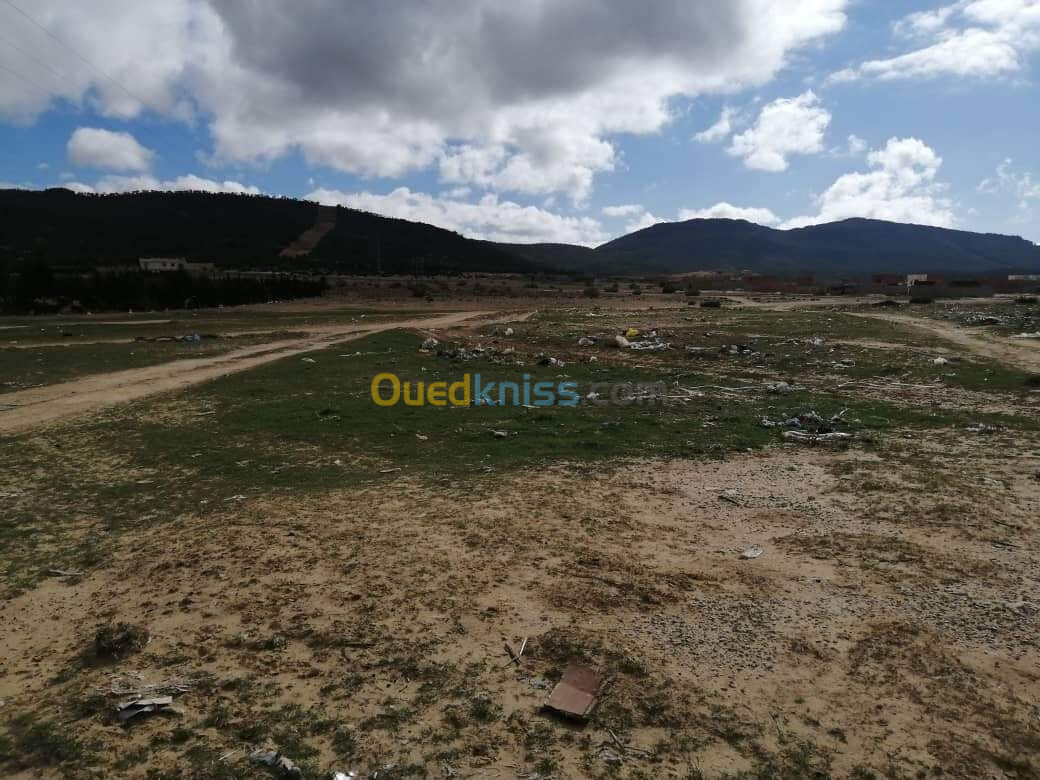 Vente Terrain Tébessa Bekkaria 