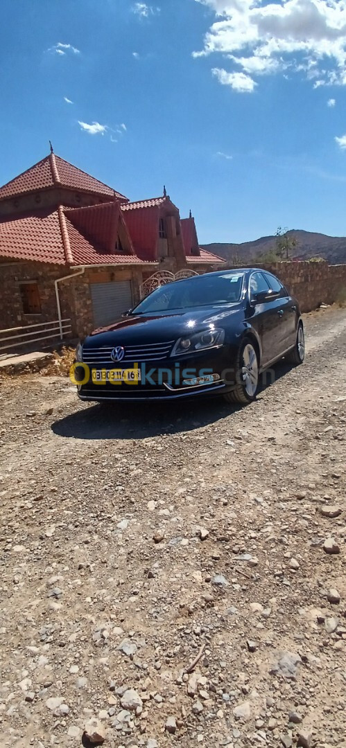 Volkswagen Passat 2014 Cara+