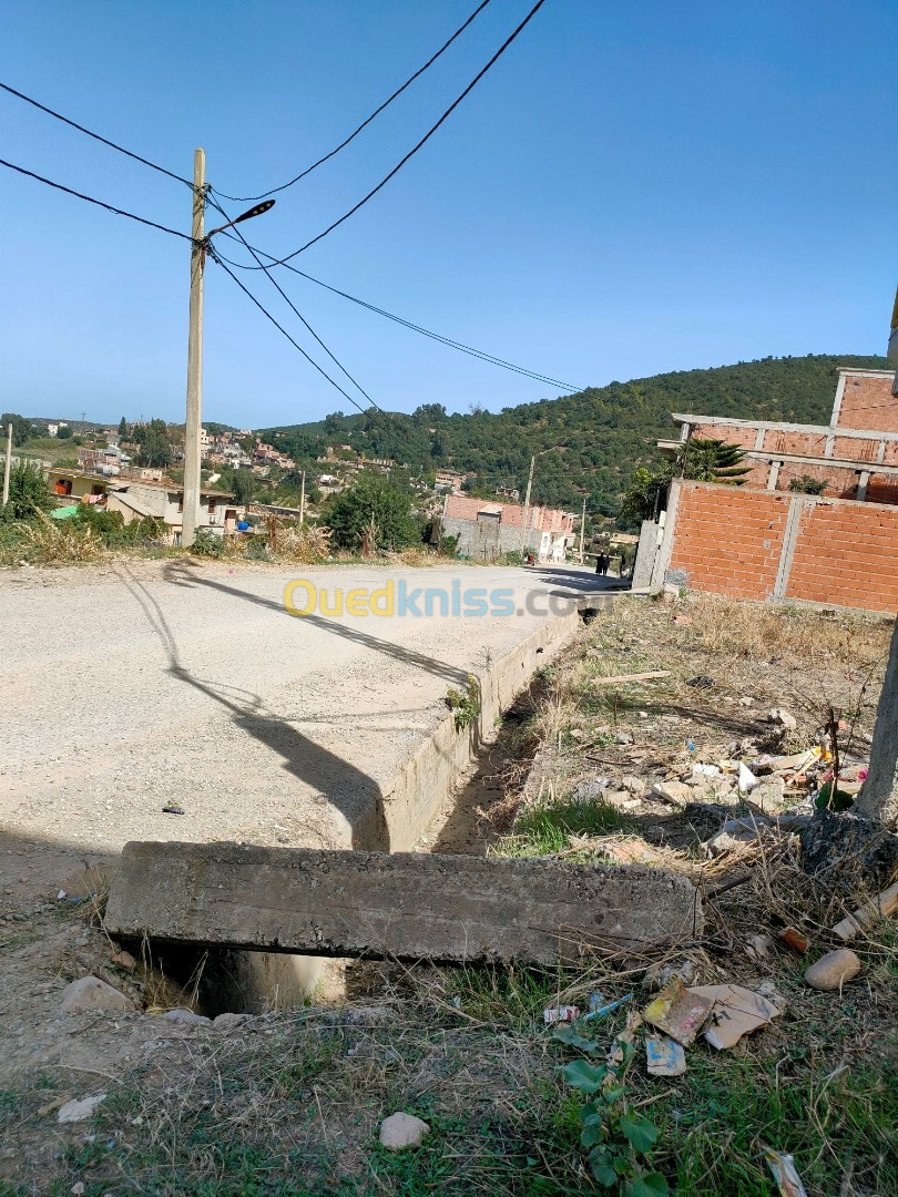 Vente Terrain Boumerdes El kharrouba