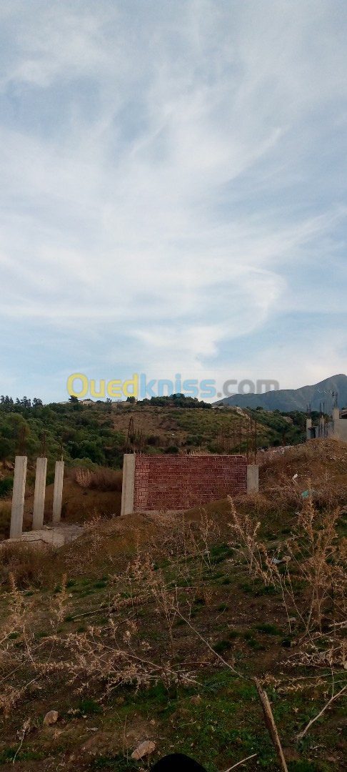 Vente Terrain Blida Bougara