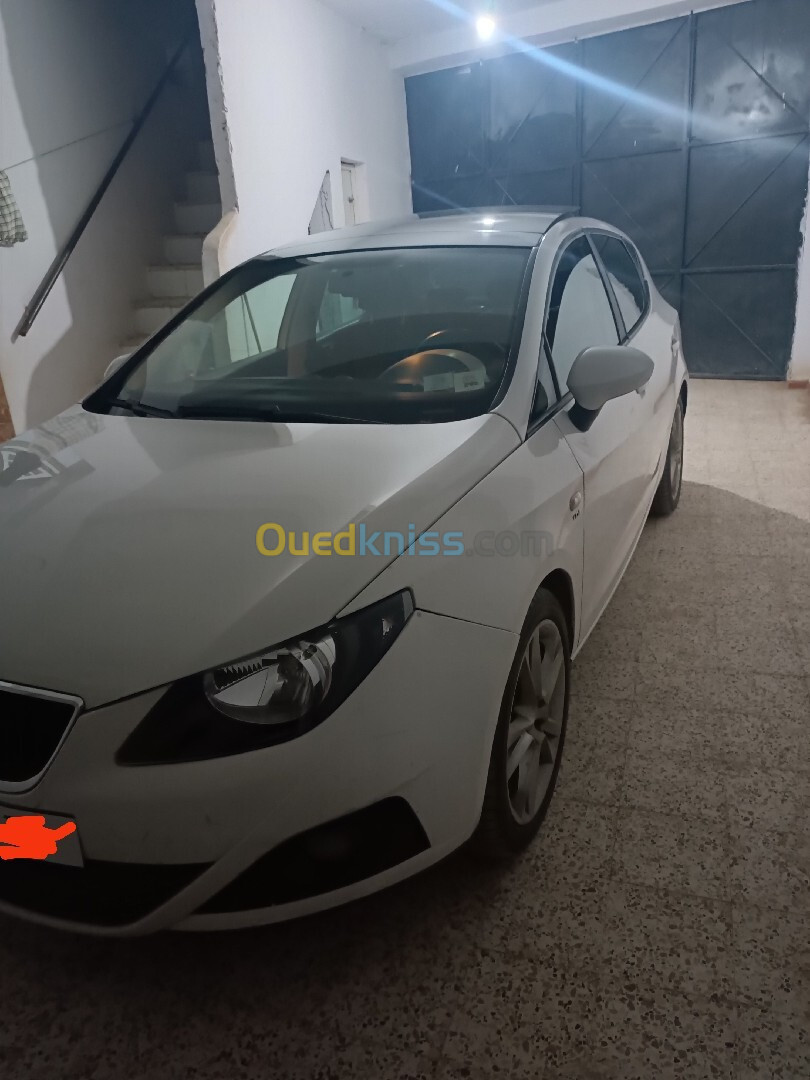 Seat Ibiza 2011 Ibiza