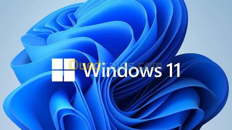Clé Windows 11 Pro pour une utilisation Professionnel