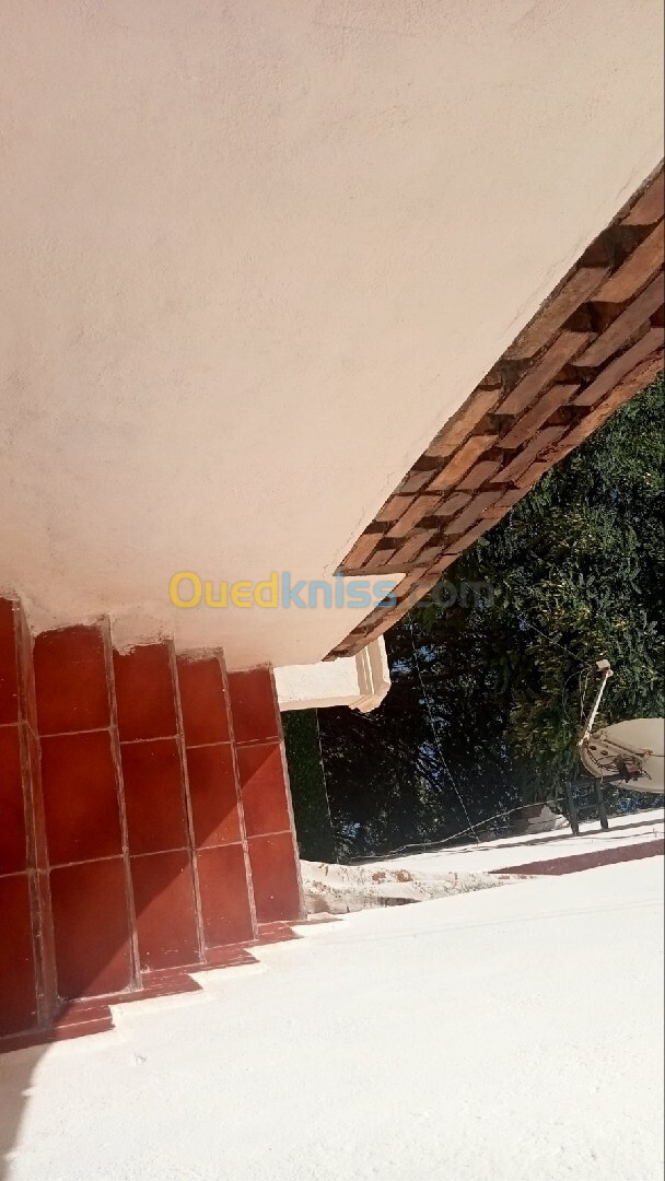 Vente Niveau De Villa F6 Tipaza Hadjout