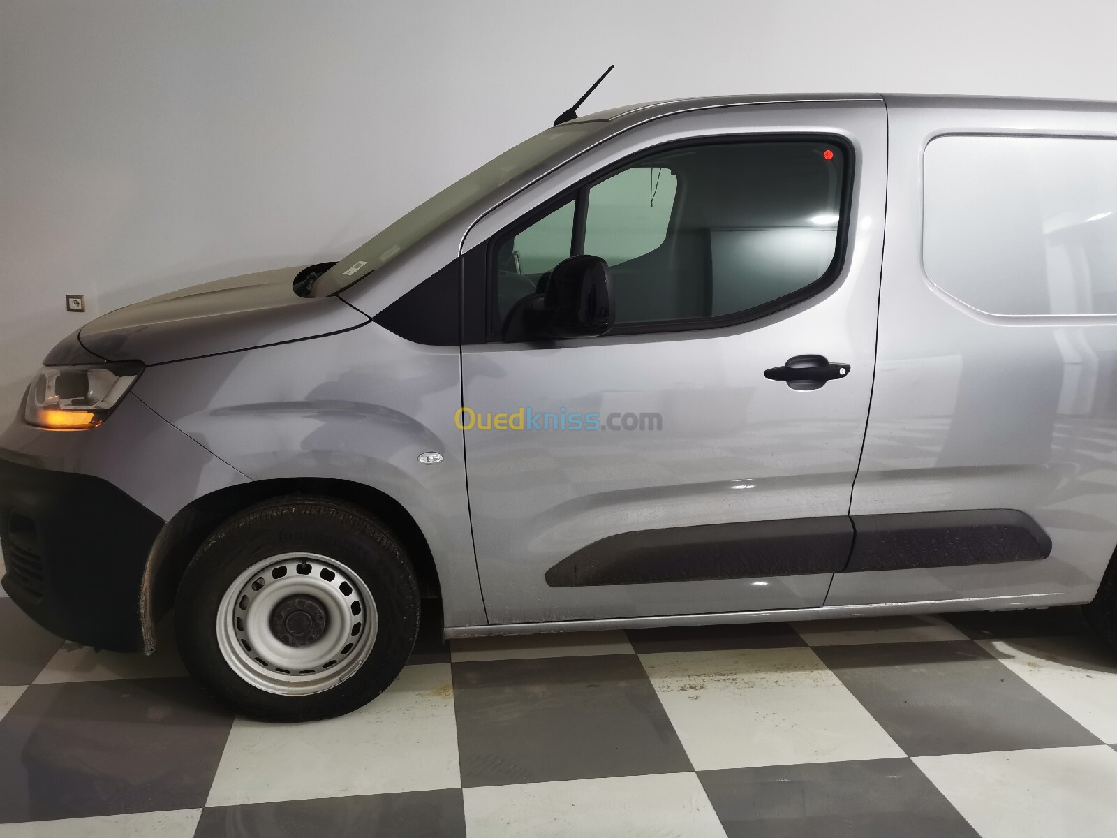 Fiat Doblo 2024 professional