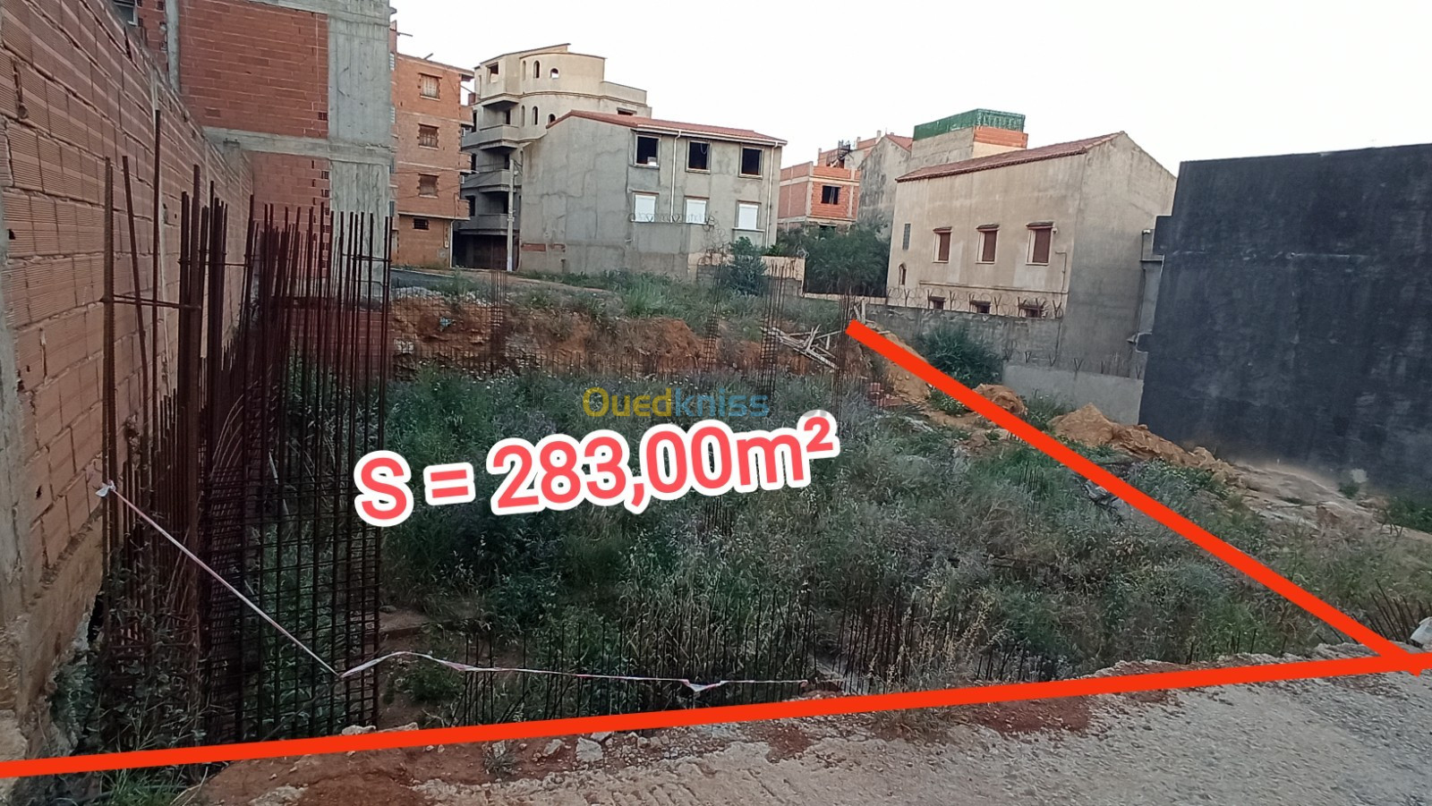 Vente Terrain Alger Saoula