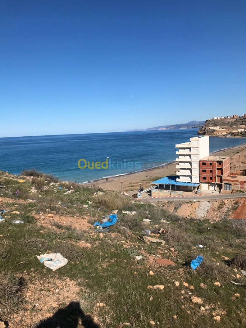 Vente Terrain Tlemcen Souahlia