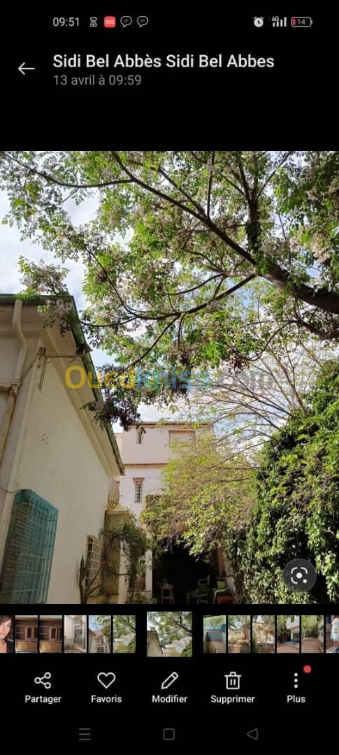 Vente Villa Sidi Bel Abbès Sidi bel abbes