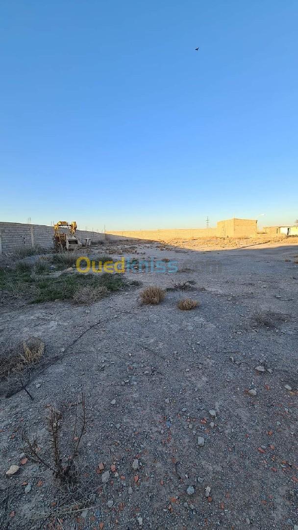 Vente Terrain Sidi Bel Abbès Sidi bel abbes