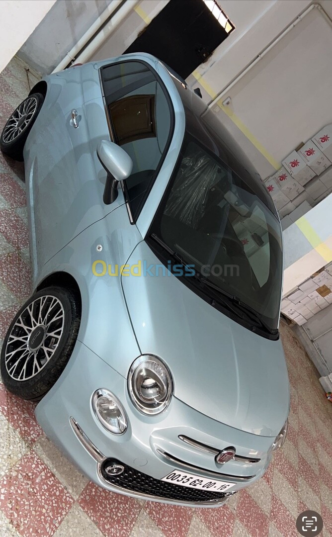 Fiat 500 2024 Dutchivita