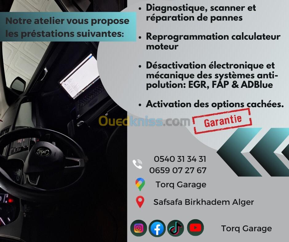 Suppression avec garantie ADBLUE SCR FAP (DPF & GPF) EGR 