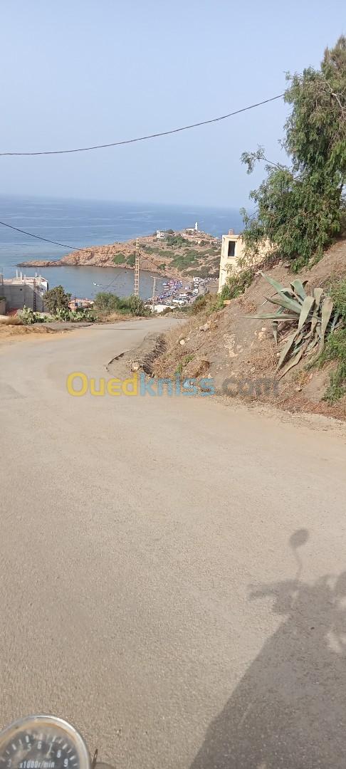 Location Appartement Tipaza Larhat