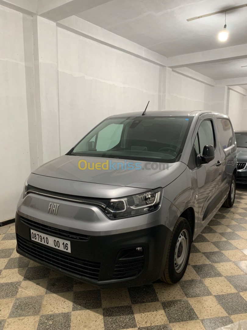 Fiat Doblo 2024 Professional