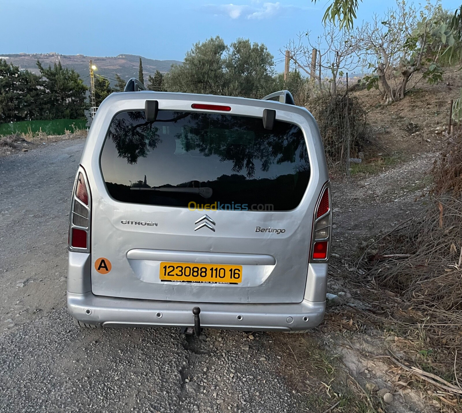 Citroen Berlingo 2010 Berlingo