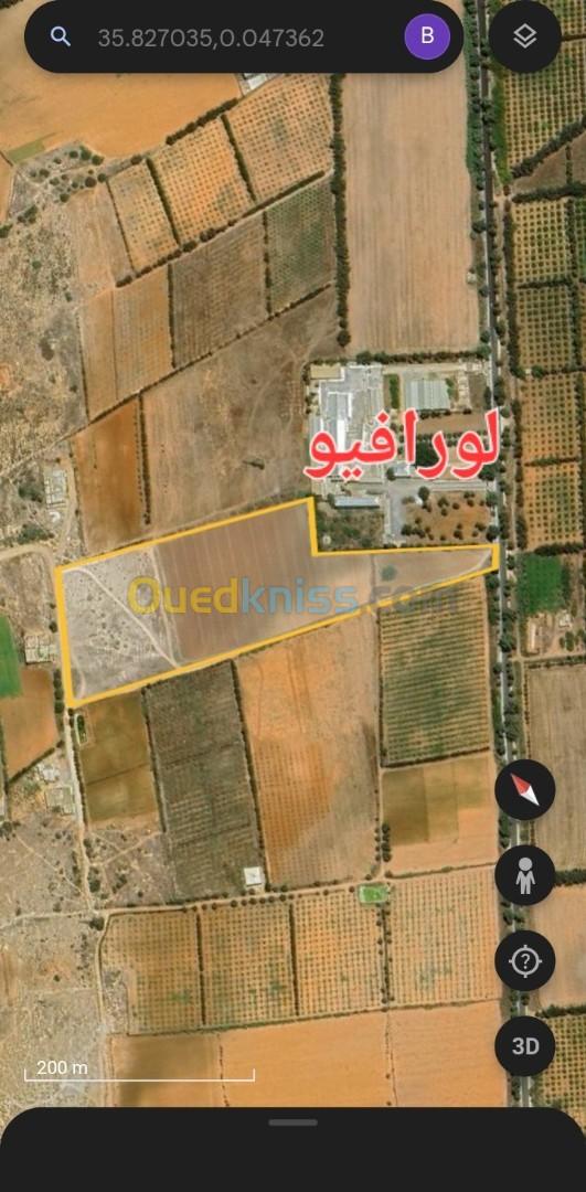 Vente Terrain Agricole Mostaganem Hassi maameche