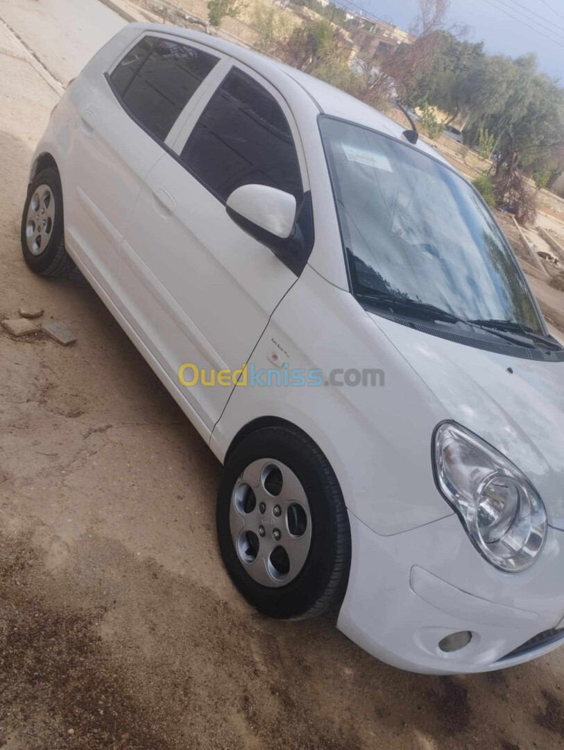 Kia Picanto 2011 fanni