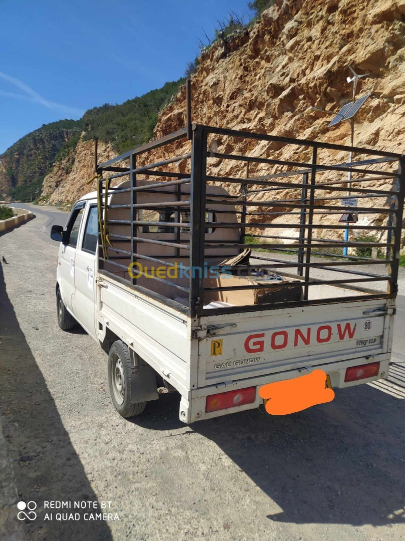 Gonow Mini Truck Double Cabine 2013 