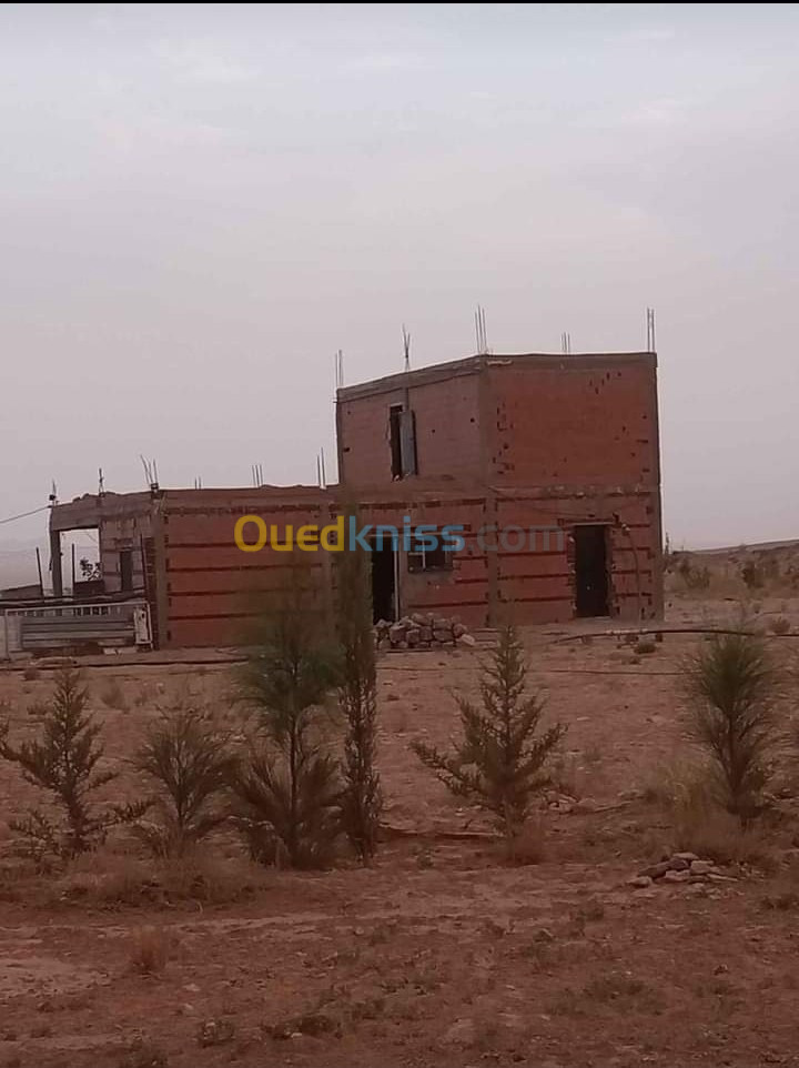 Vente Terrain Agricole Laghouat Tadjemout