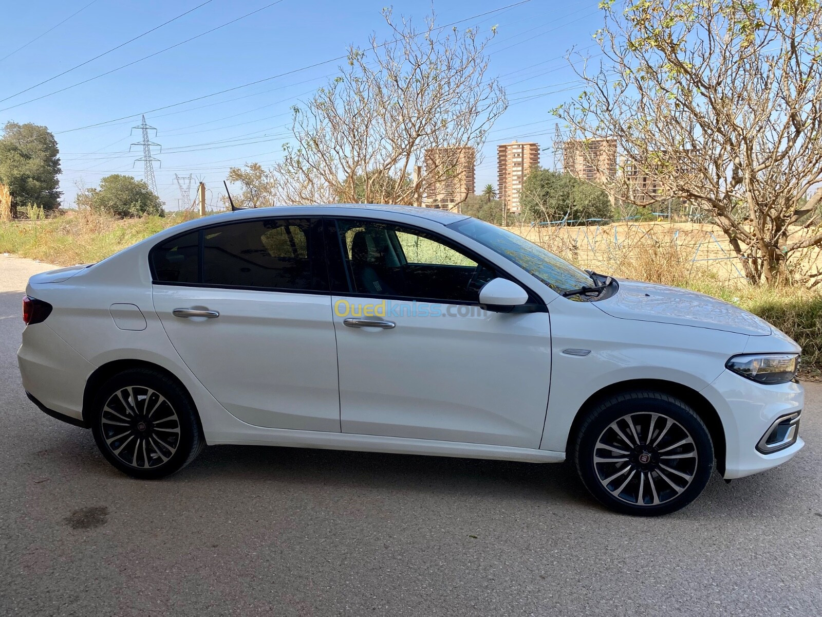 Fiat Tipo 2023 Live