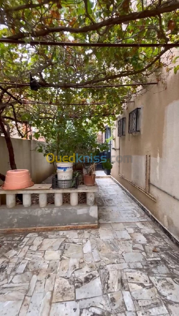 Vente Villa Guelma Guelma