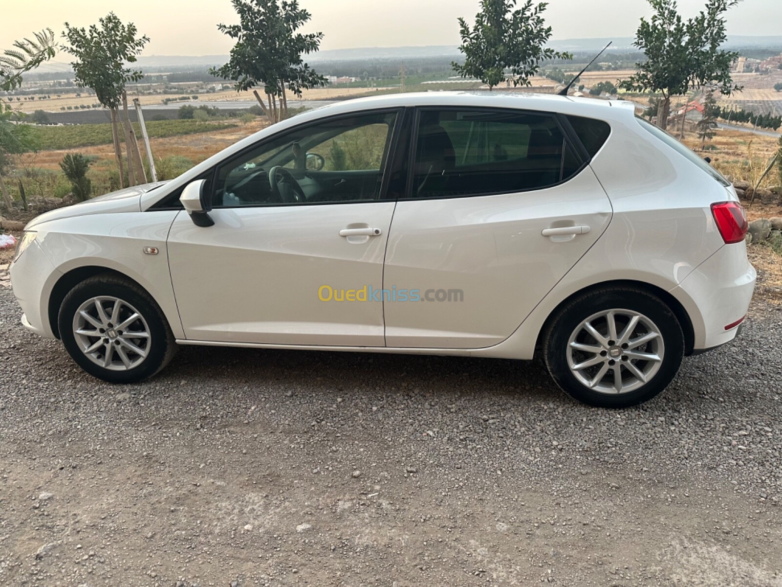 Seat Ibiza 2013 Fully