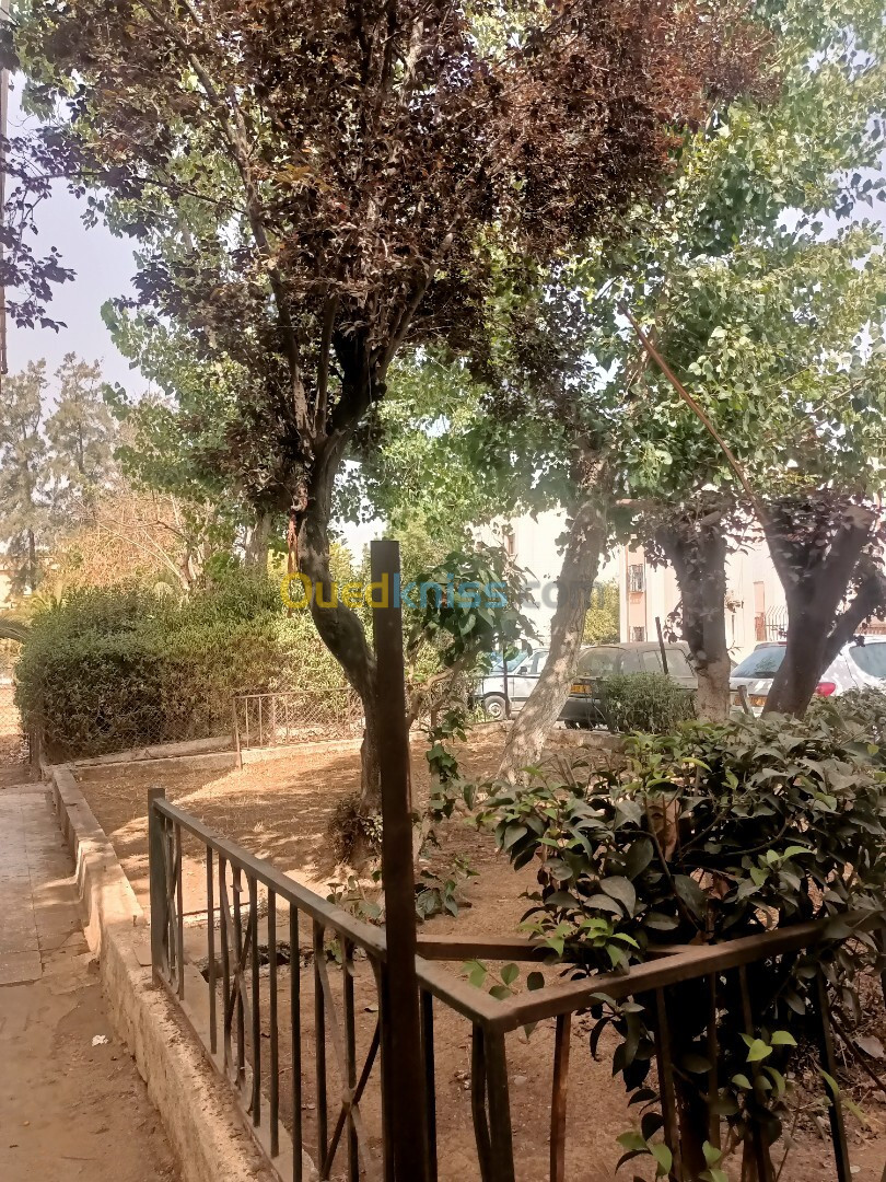 Vente Appartement F03 Alger Mohammadia