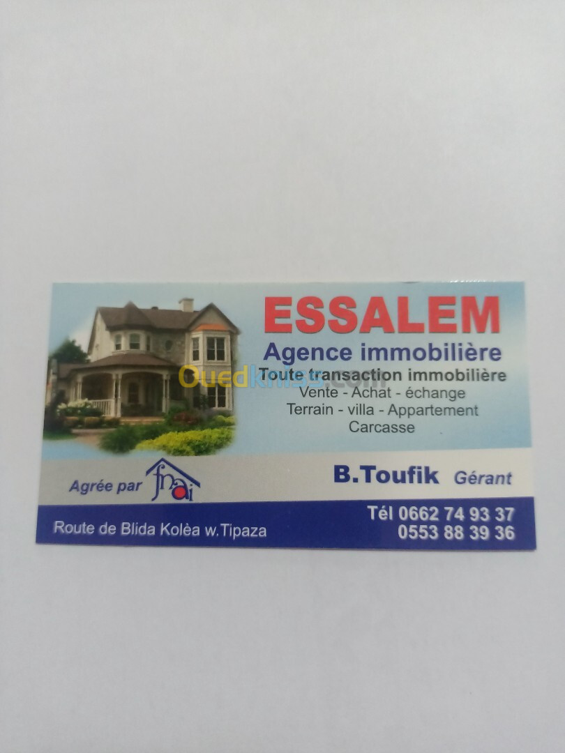 Vente Terrain Alger Staoueli