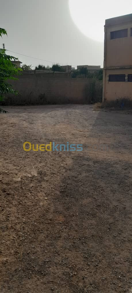 Location Appartement F03 Tipaza Bou ismail