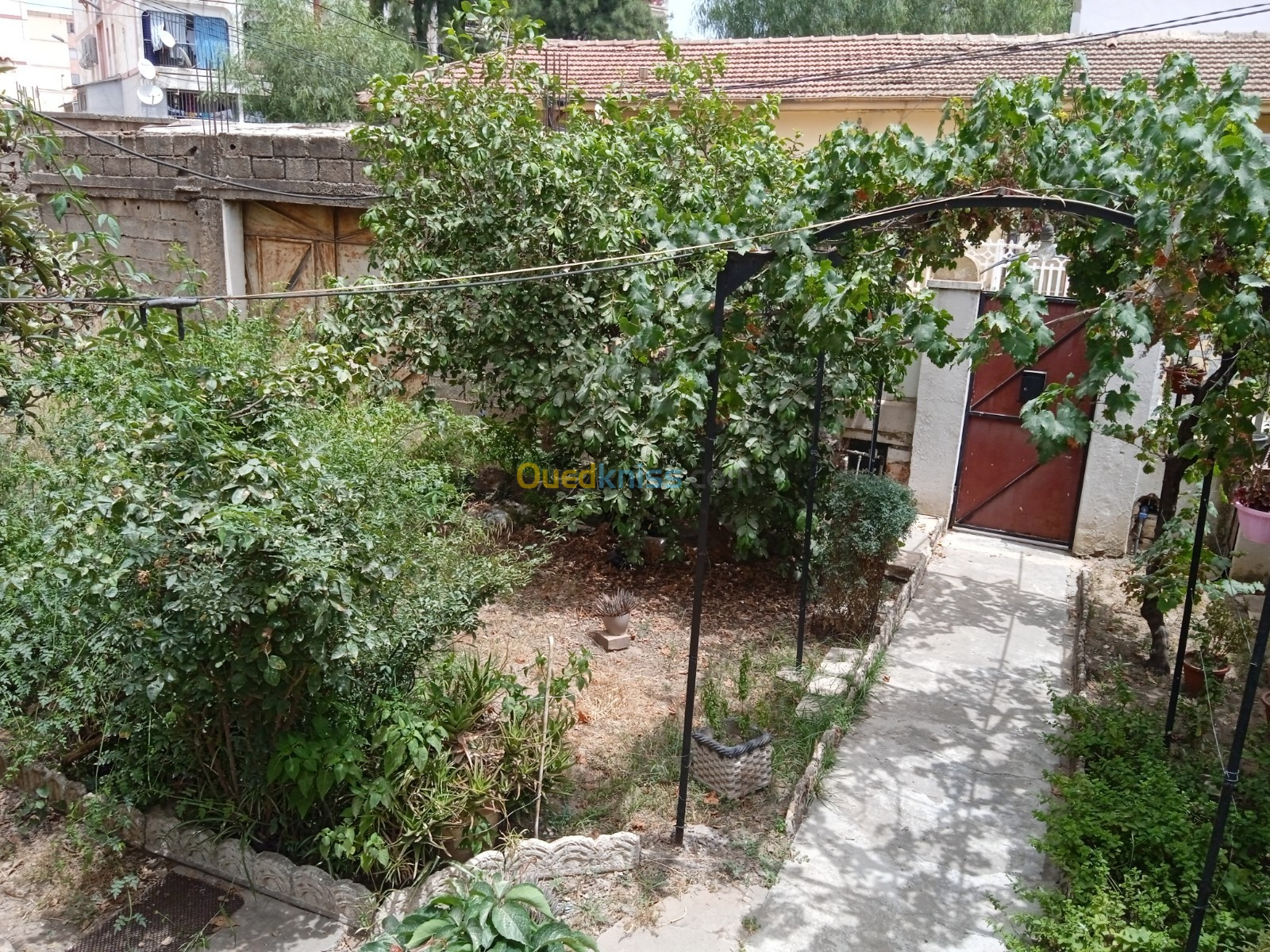 Vente Villa Blida Blida