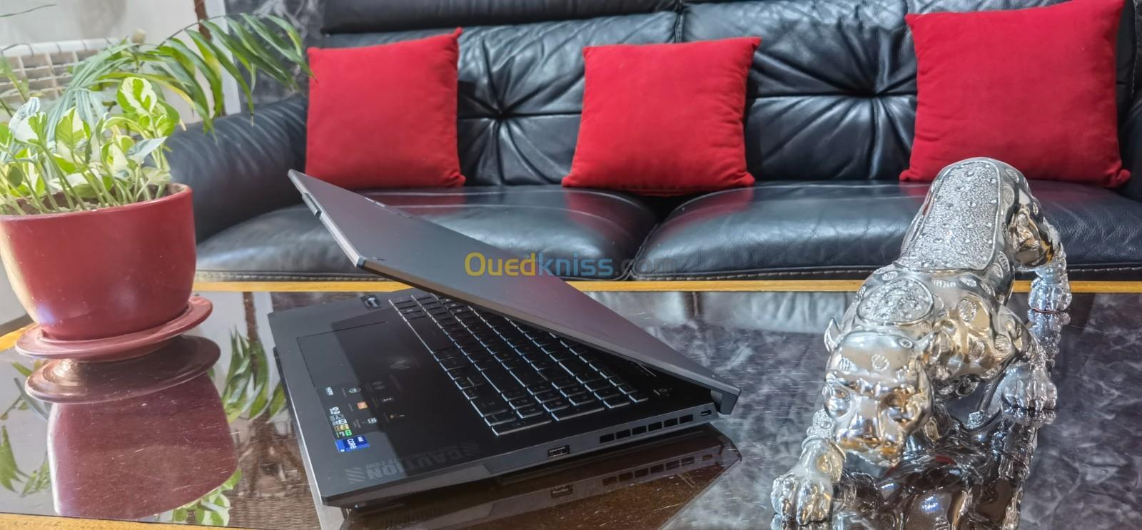 [VENDU] ASUS F17 TUF - i9 13900H - RTX 4060 8 Go - Écran QHD 17" 240Hz - SSD 1TB - RAM 16Go