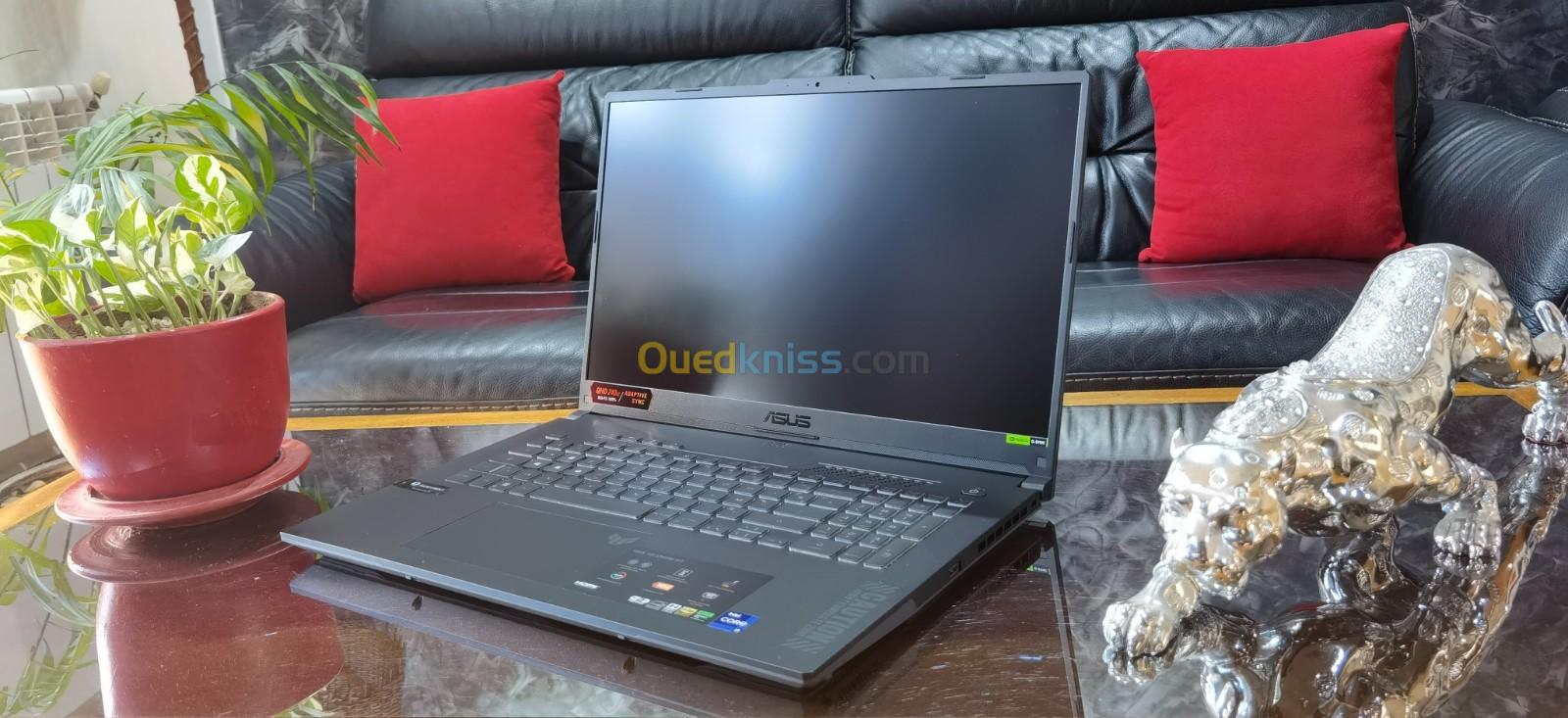 [VENDU] ASUS F17 TUF - i9 13900H - RTX 4060 8 Go - Écran QHD 17" 240Hz - SSD 1TB - RAM 16Go