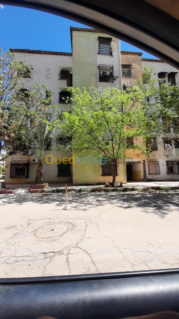 Vente Appartement F3 Ain defla Khemis miliana