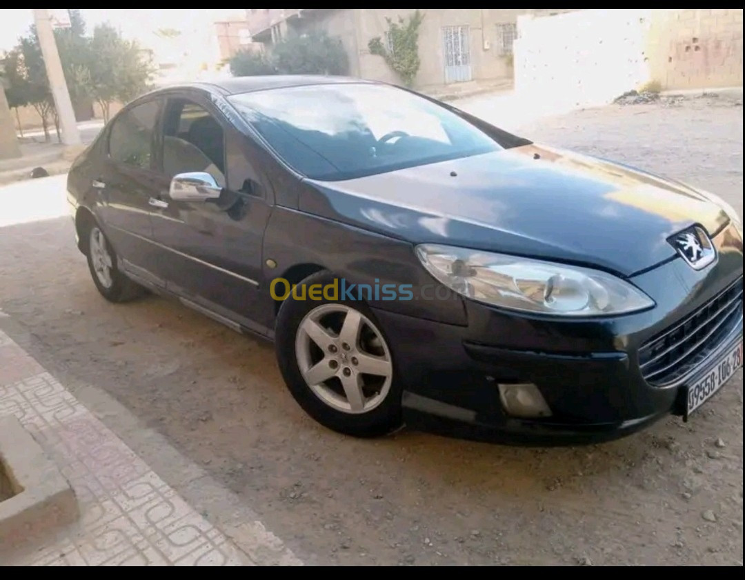 Peugeot 407 2006 407