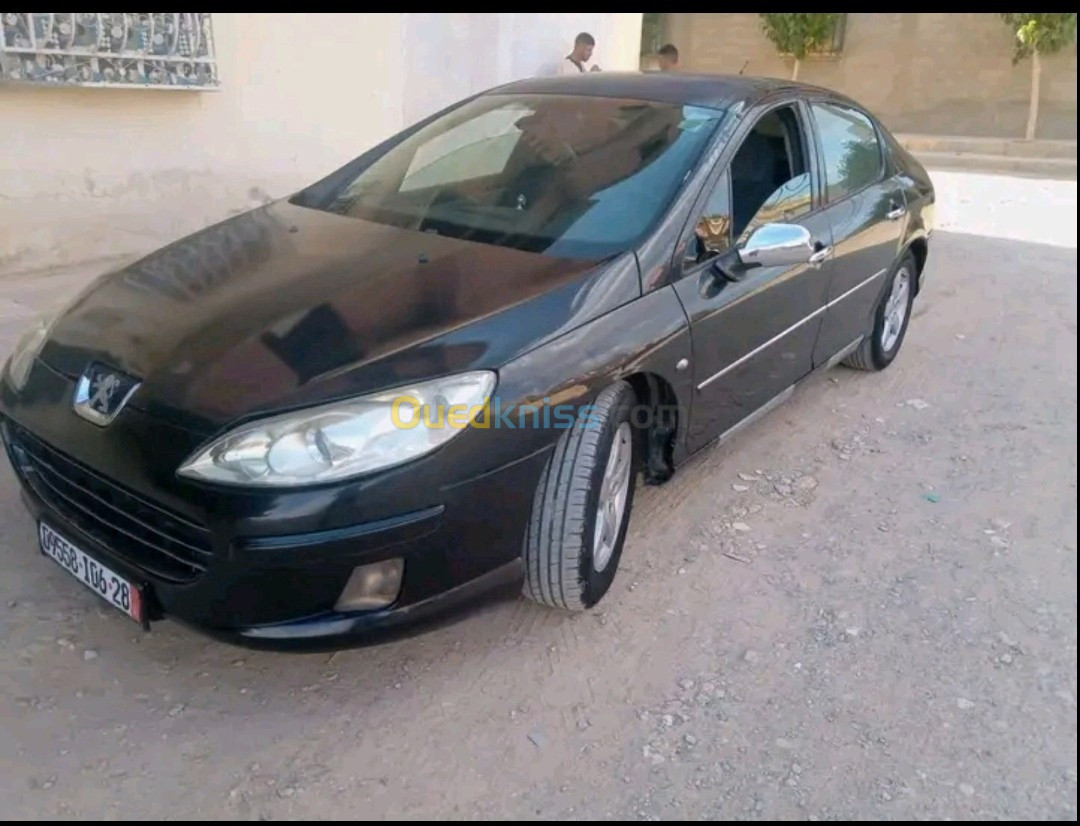 Peugeot 407 2006 407