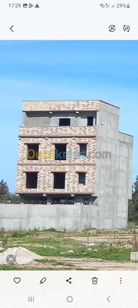 Vente Terrain Blida Chebli