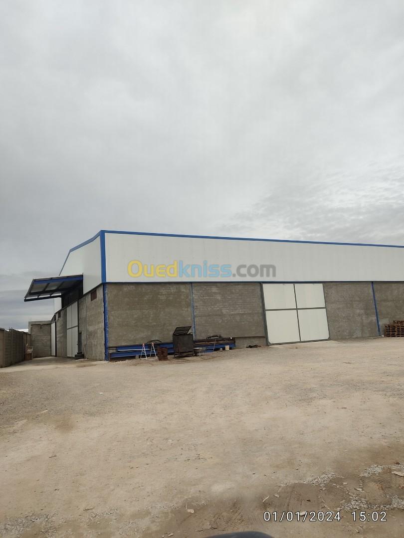 Location Hangar Sétif Ain arnat