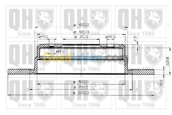 disque de frein BMW serie 5 e34