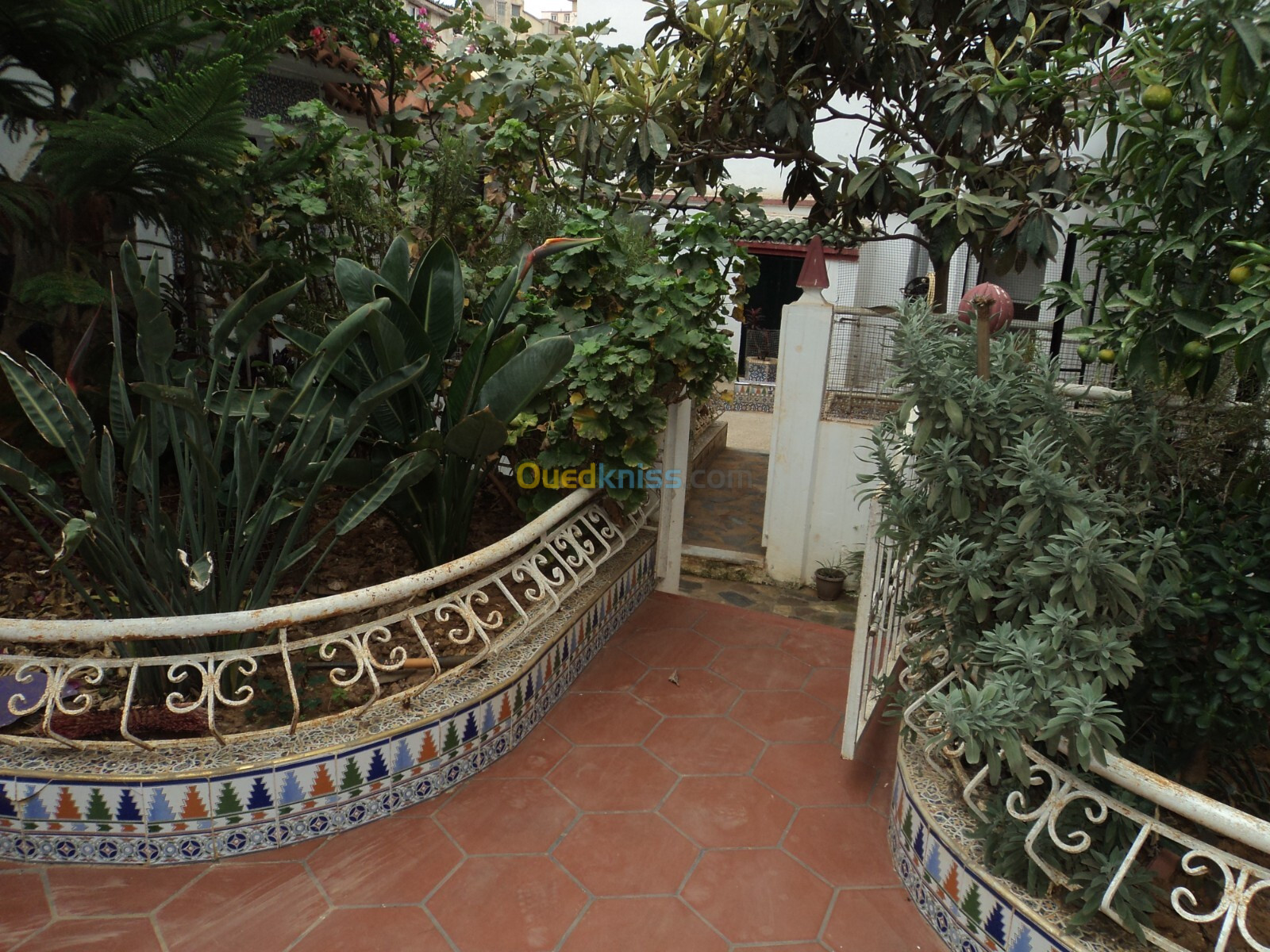 Vente Villa Alger El mouradia