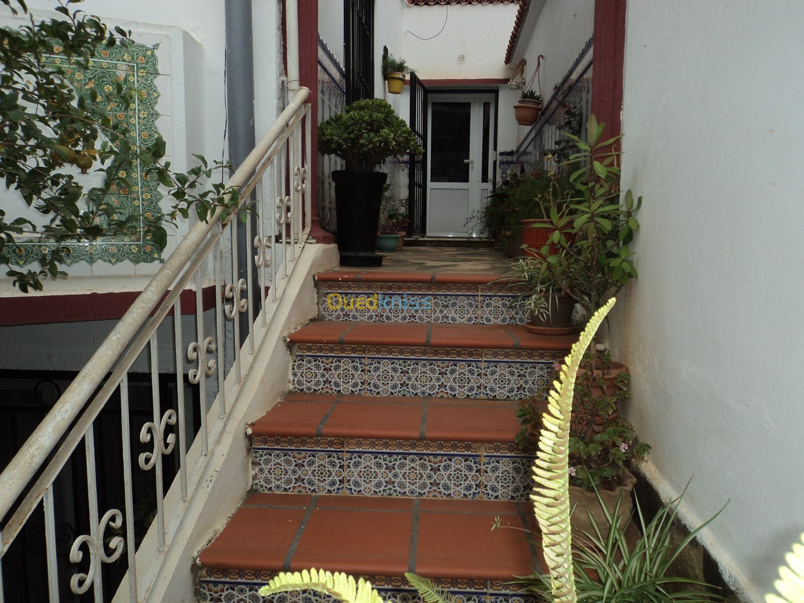 Vente Villa Alger El mouradia