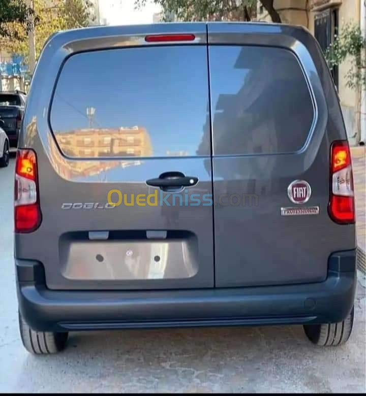 Fiat Doblo 2024 Professionnel