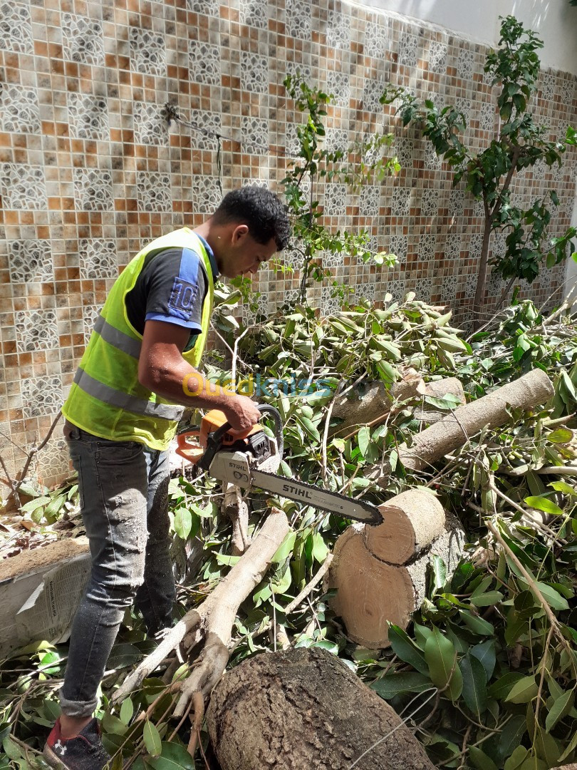  Abattage Et Taille De Tout Type D'arbres,'L Nettoyage Jardin