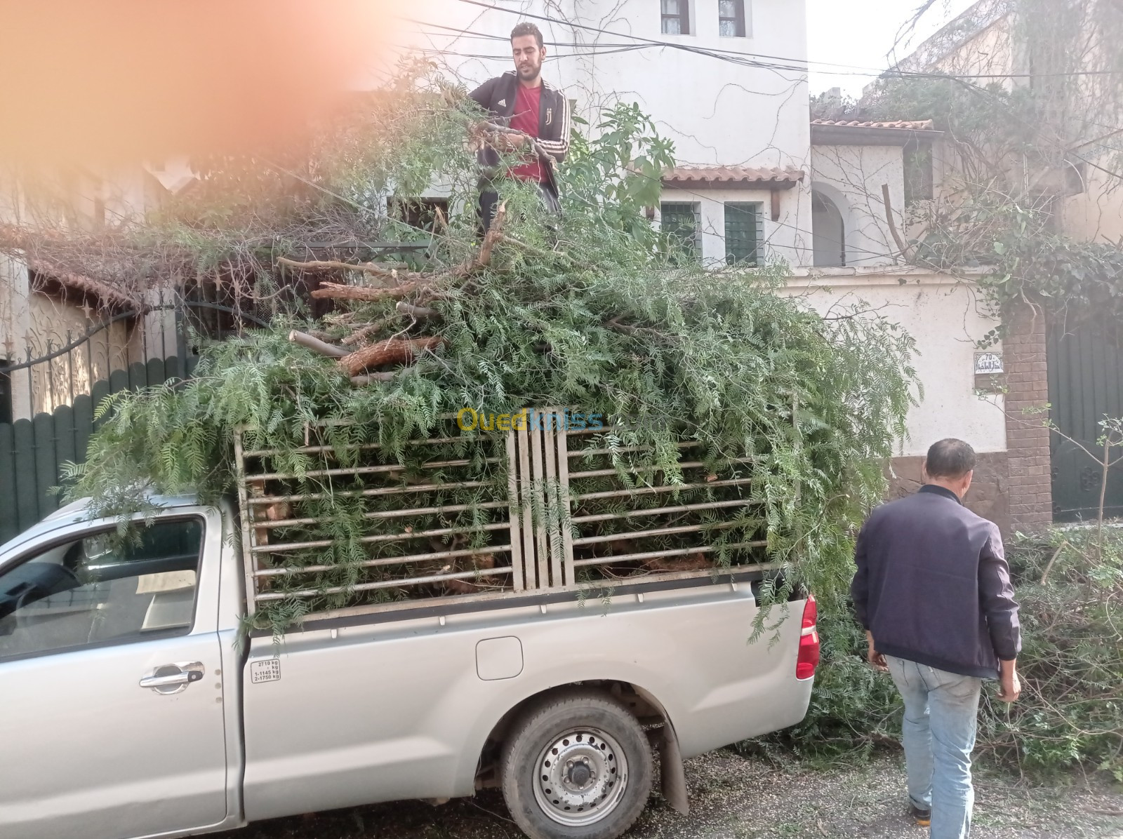  Abattage Et Taille De Tout Type D'arbres,'L Nettoyage Jardin