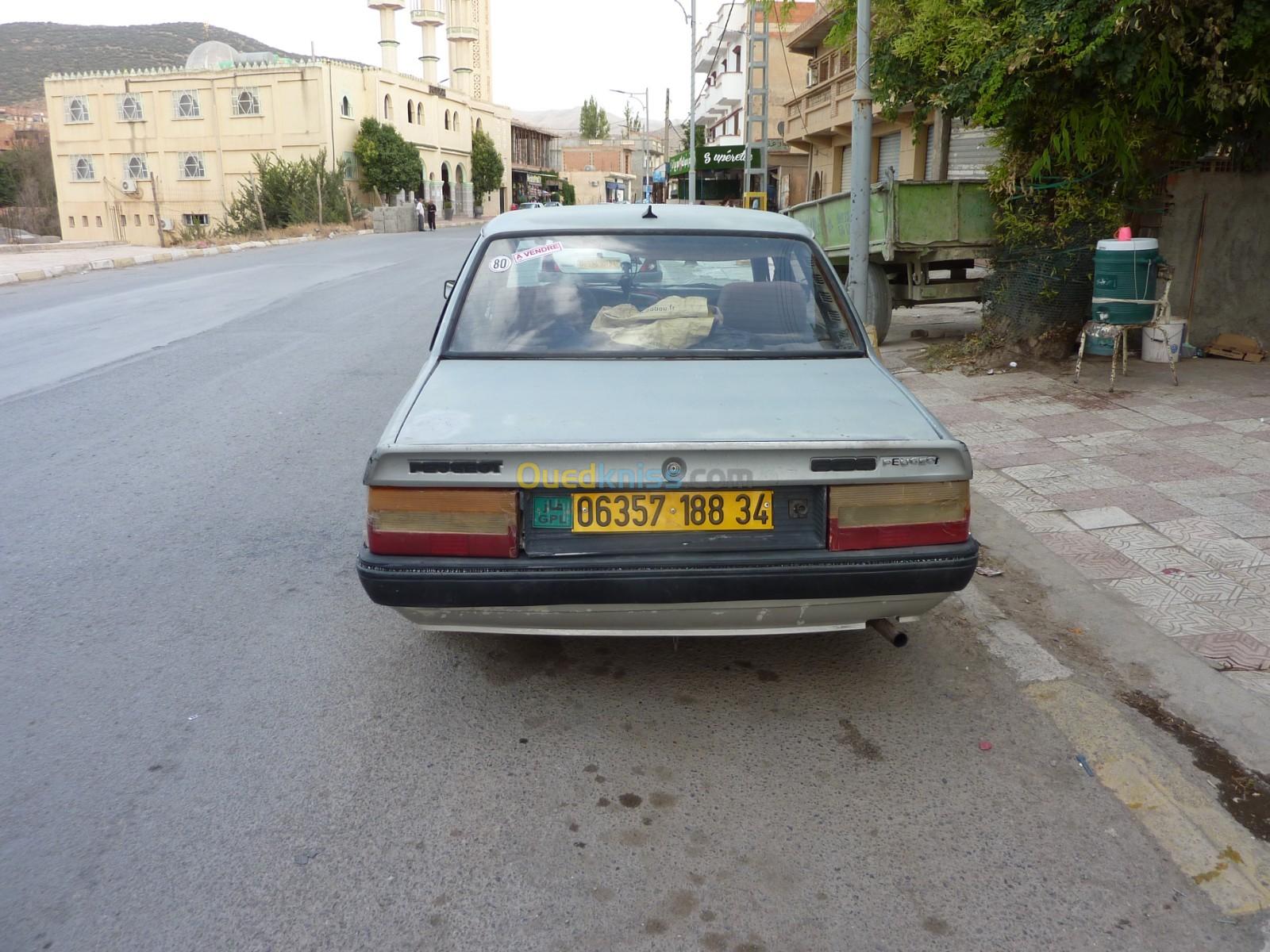 Peugeot 505 1989 505