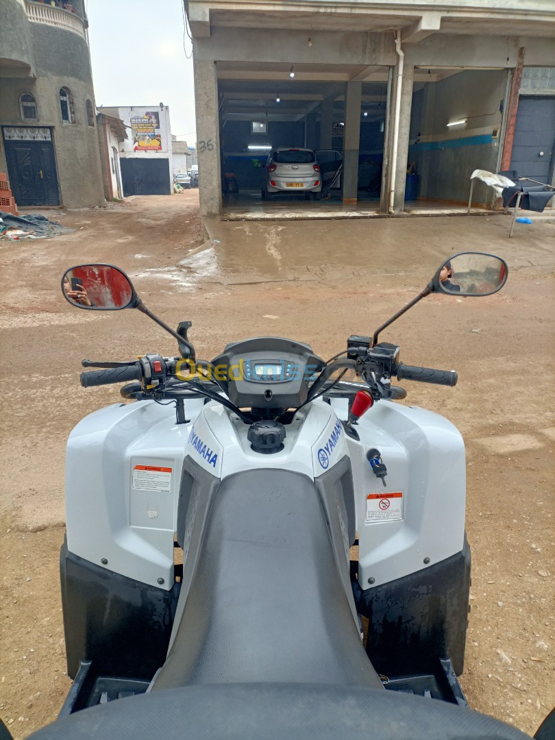 Yamaha 350 2012 Kwad