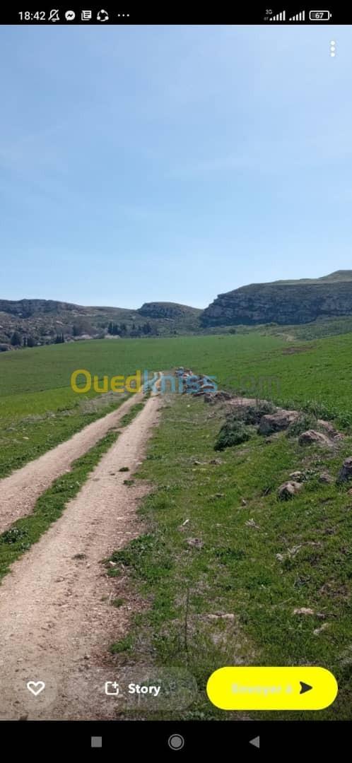 Vente Terrain Agricole Constantine Ibn ziad