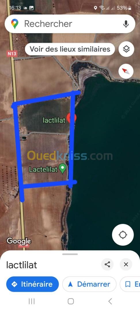 Vente Terrain Agricole Oran El braya