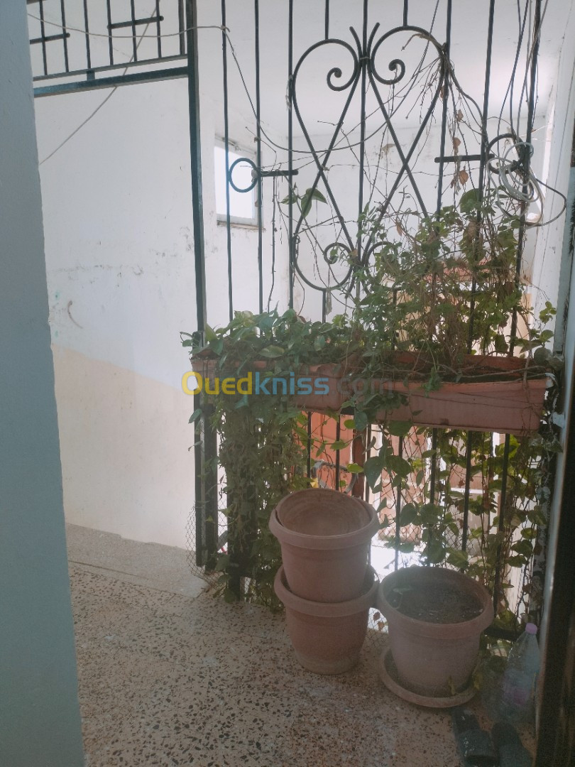 Location vacances Appartement F4 El Tarf El kala